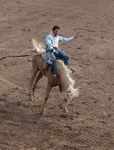 P3292729_1774970462_69cbe65e792a3