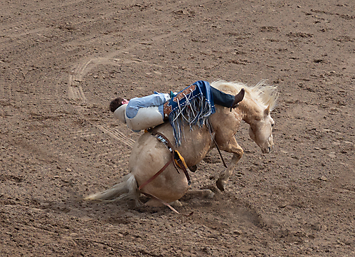 P3292735_1774970463_69cbe65f0e9ff