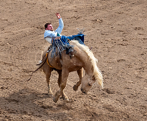 P3292741_1774970464_69cbe66000b22