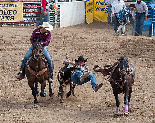 P3292775_1774970464_69cbe660781a6