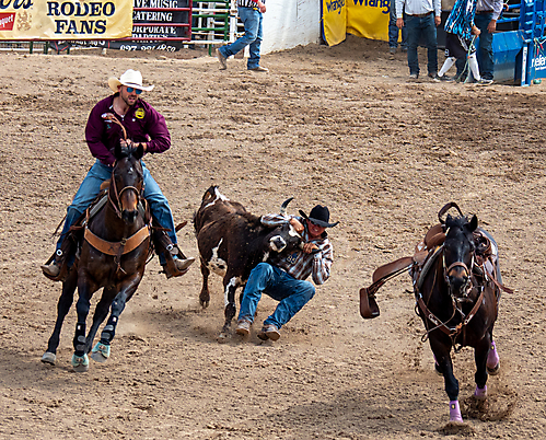 P3292780_1774970465_69cbe661b38dc