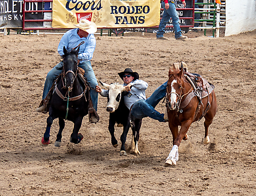 P3292821_1774970468_69cbe664e42bd