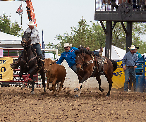 P3292827_1774970469_69cbe665c8b8c