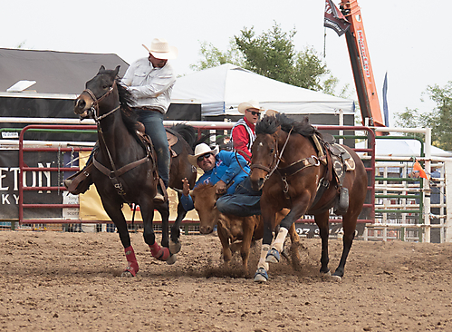 P3292833_1774970470_69cbe666a6b10