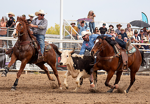 P3292863_1774970471_69cbe667890e6