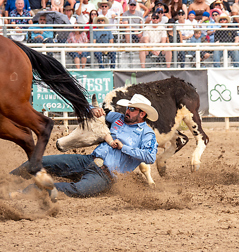 P3292876_1774970472_69cbe668899ad