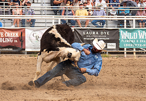 P3292880_1774970473_69cbe669808bb