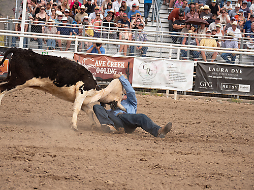 P3292884_1774970474_69cbe66a637c8