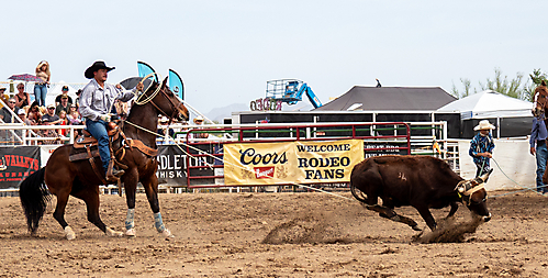 P3292922_1774970476_69cbe66c1522f