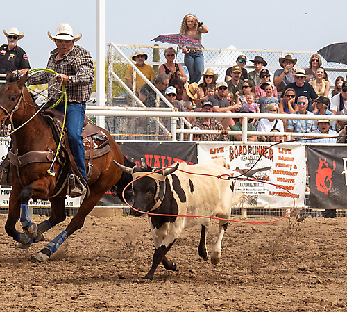 P3292964_1774970477_69cbe66dd8159