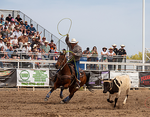 P3292968_1774970478_69cbe66e73f74