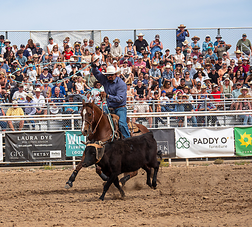 P3293021_1774970242_69cbe582728fc