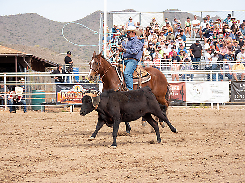 P3293026_1774970243_69cbe583672af