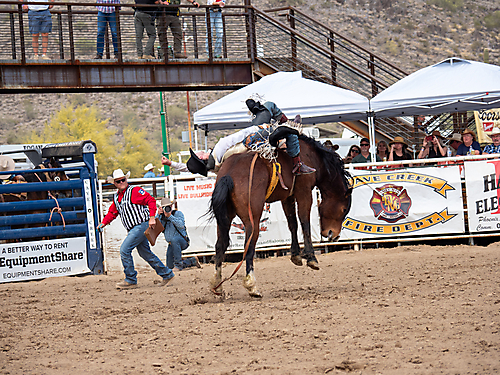 P3293059_1774970246_69cbe58684276