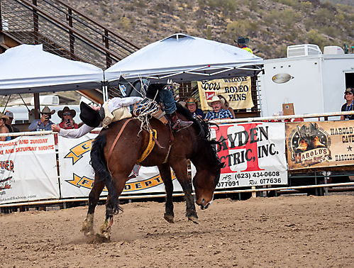 P3293066_1774970247_69cbe58716a52