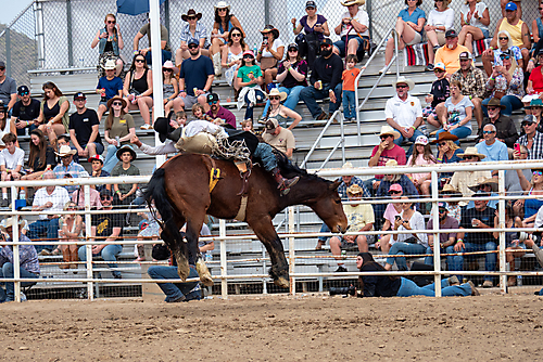 P3293076_1774970248_69cbe58817a4f