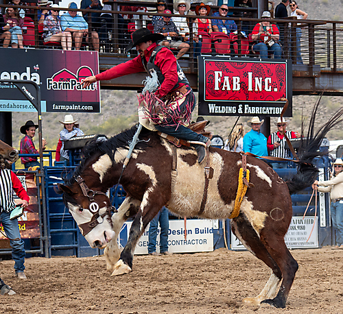 P3293125_1774970250_69cbe58a720e7