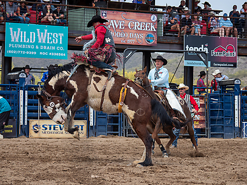 P3293127_1774970251_69cbe58b74ab3