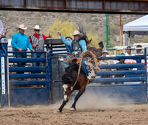 P3293135_1774970253_69cbe58d10b6d