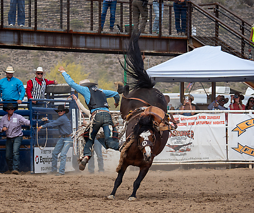 P3293138_1774970254_69cbe58e05f7d