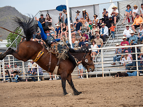 P3293145_1774970255_69cbe58f28995