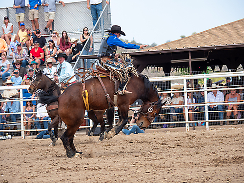 P3293152_1774970257_69cbe591010e5