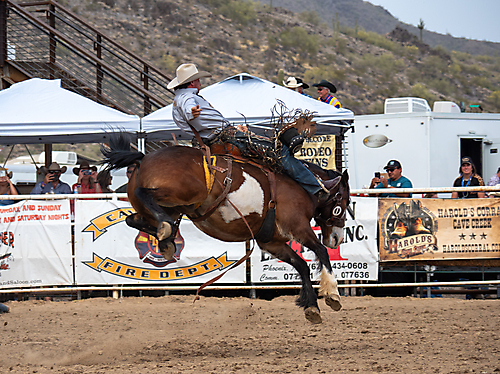 P3293159_1774970258_69cbe5920b4db