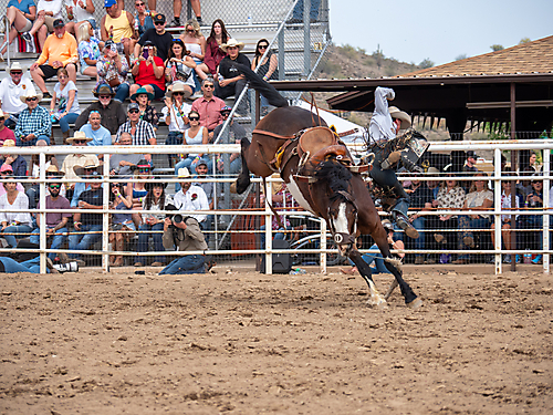 P3293169_1774970260_69cbe5940a744