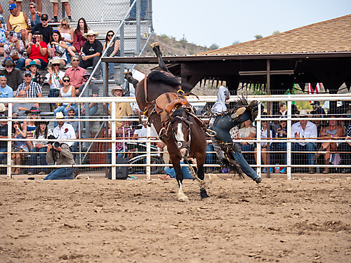 P3293170_1774970261_69cbe5950c7e4