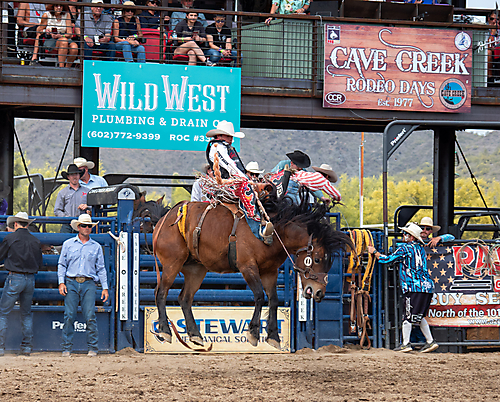 P3293175_1774970261_69cbe5959c138