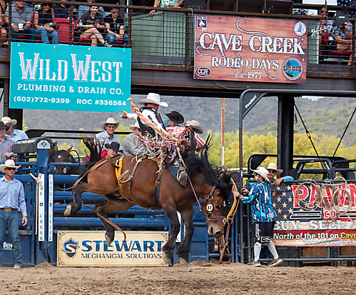 P3293176_1774970262_69cbe596a7eb2