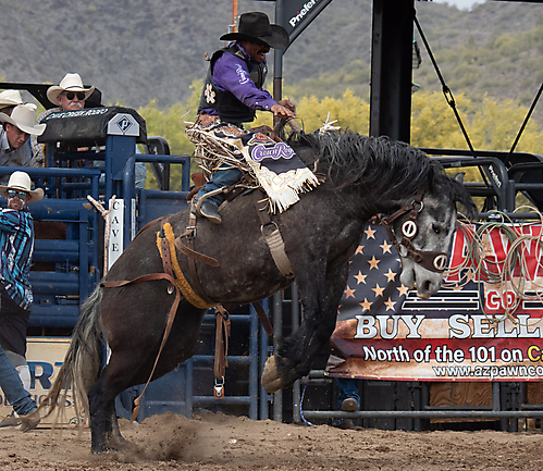 P3293200_1774970264_69cbe598c5a07