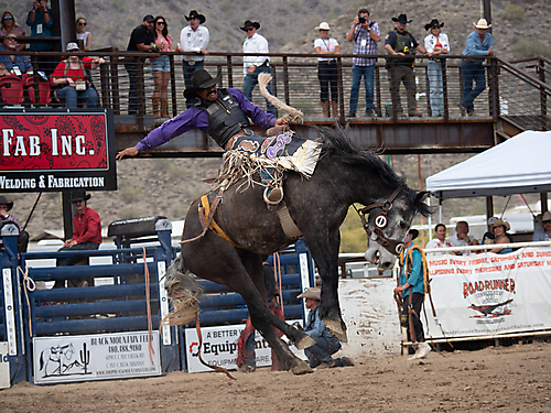 P3293202_1774970265_69cbe599a81f7