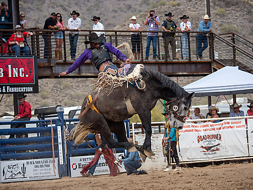 P3293203_1774970266_69cbe59a986e9