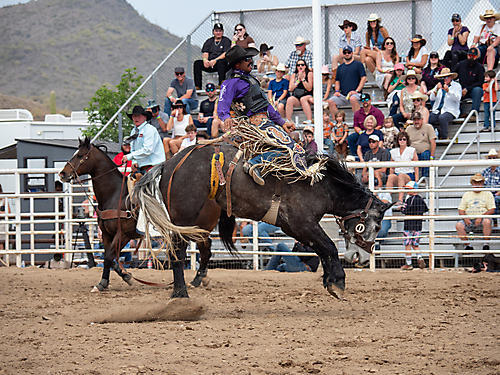 P3293204_1774970267_69cbe59b8a4c2