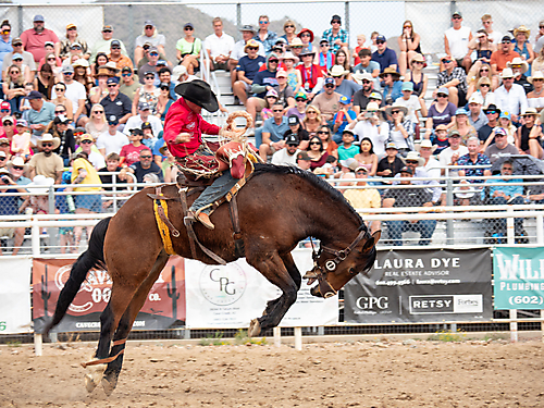 P3293220_1774970269_69cbe59d5ef9e