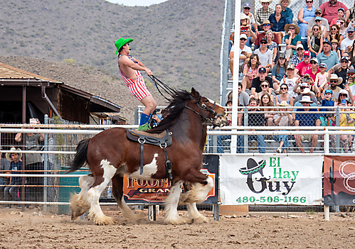 P3293225_1774970271_69cbe59fc7645