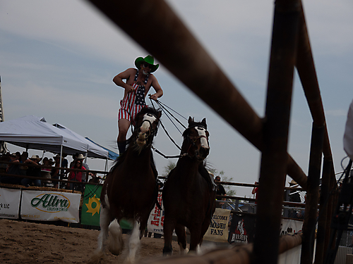 P3293226_1774970272_69cbe5a09c7a0