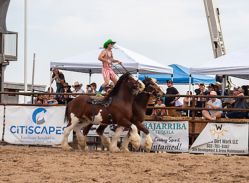 P3293229_1774970273_69cbe5a18a5be