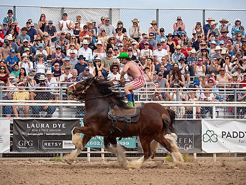 P3293230_1774970274_69cbe5a28ebd8