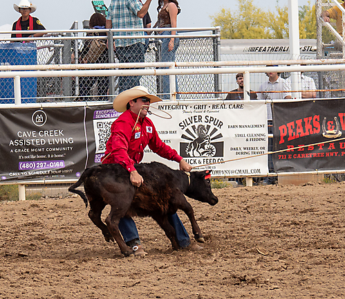 P3293238_1774970276_69cbe5a41bc5e