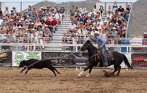 P3293239_1774970277_69cbe5a50cf3b