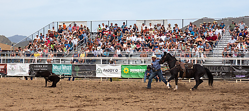 P3293245_1774970277_69cbe5a5b728c