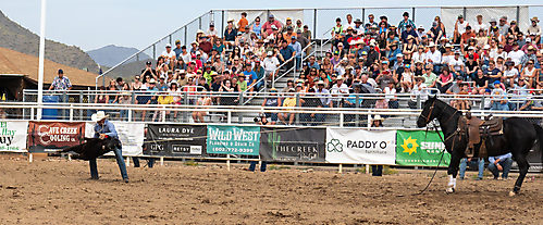 P3293270_1774970278_69cbe5a62cfef