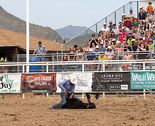 P3293275_1774970278_69cbe5a6ab804