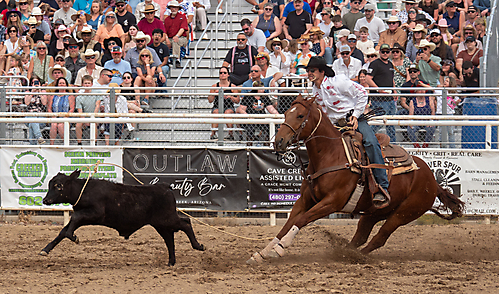 P3293276_1774970279_69cbe5a793a57