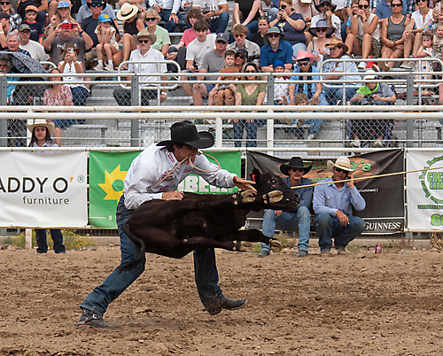 P3293287_1774970280_69cbe5a88b58f