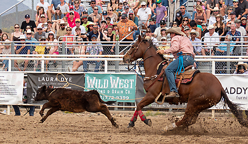 P3293290_1774970281_69cbe5a98e9a2