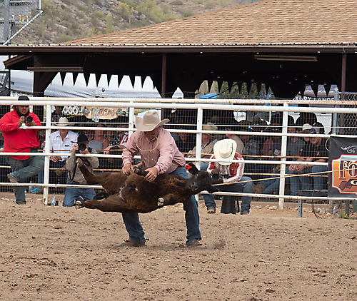 P3293297_1774970283_69cbe5ab479cd