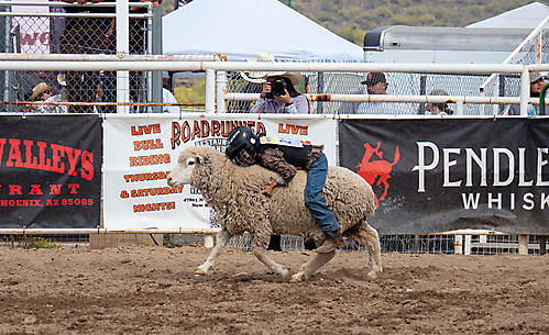 P3293303_1774970285_69cbe5ad0fb10